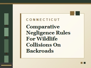 Connecticut Comparative Negligence in Wildlife Collisions