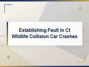 Establishing Fault in Ct Wildlife Car Crashes