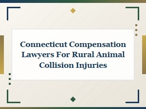 Connecticut Lawyers for Rural Animal Collisions